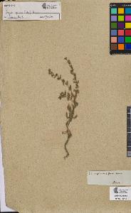 SW_BNB_s3090-06163_IMG-0000000001