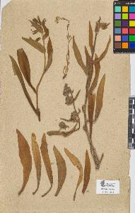 SW_BNB_s3090-06166_IMG-0000000001