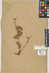 SW_BNB_s3090-06397_IMG-0000000001