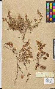 SW_BNB_s3090-06695_IMG-0000000001