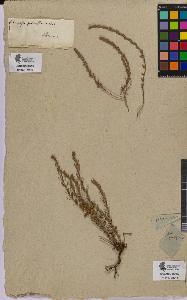 SW_BNB_s3090-06705_IMG-0000000001
