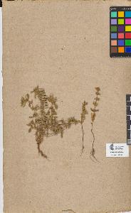 SW_BNB_s3090-06727_IMG-0000000001
