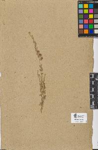 SW_BNB_s3090-06774_IMG-0000000001