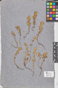 SW_BNB_s3090-06785_IMG-0000000001