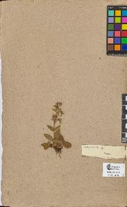 SW_BNB_s3090-06793_IMG-0000000001