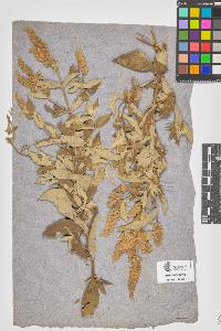 SW_BNB_s3090-06840_IMG-0000000001