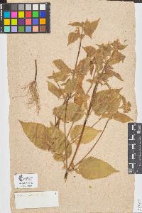 SW_BNB_s3090-06901_IMG-0000000001