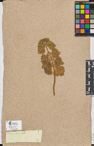 SW_BNB_s3090-06920_IMG-0000000001