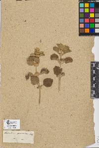 SW_BNB_s3090-06940_IMG-0000000001