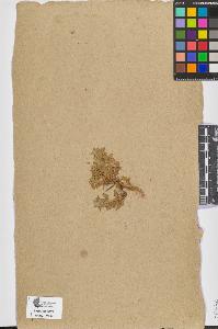 SW_BNB_s3090-06948_IMG-0000000001