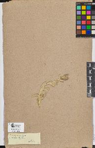 SW_BNB_s3090-06950_IMG-0000000001
