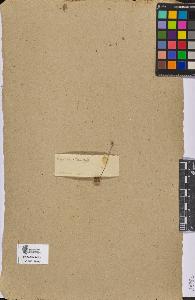 SW_BNB_s3090-06979_IMG-0000000001