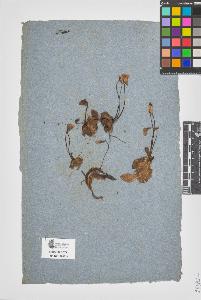 SW_BNB_s3090-06984_IMG-0000000001