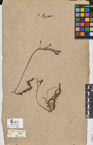 SW_BNB_s3090-06986_IMG-0000000001