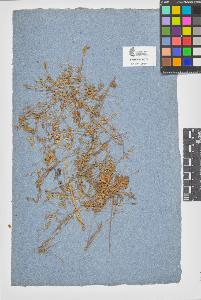 SW_BNB_s3090-07016_IMG-0000000001