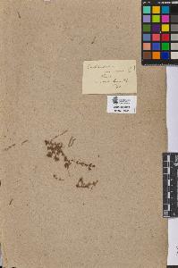 SW_BNB_s3090-07017_IMG-0000000001