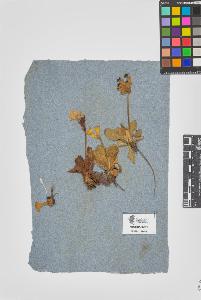 SW_BNB_s3090-07078_IMG-0000000001