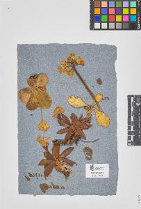 SW_BNB_s3090-07079_IMG-0000000001