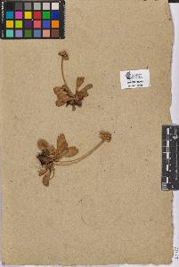 SW_BNB_s3090-07087_IMG-0000000001