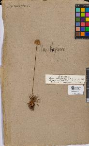 SW_BNB_s3090-07201_IMG-0000000001