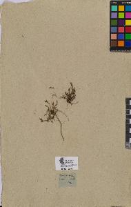 SW_BNB_s3090-07401_IMG-0000000001