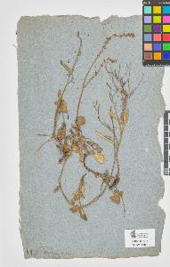 SW_BNB_s3090-07429_IMG-0000000001