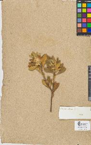SW_BNB_s3090-07496_IMG-0000000001