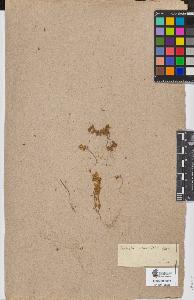 SW_BNB_s3090-07581_IMG-0000000001