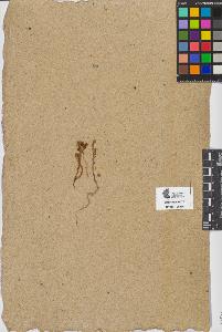SW_BNB_s3090-07598_IMG-0000000001
