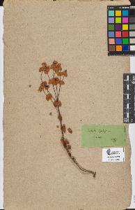 SW_BNB_s3090-07608_IMG-0000000001