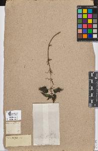 SW_BNB_s3090-07672_IMG-0000000001