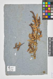 SW_BNB_s3090-07713_IMG-0000000001