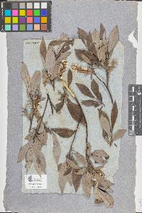 SW_BNB_s3090-07718_IMG-0000000001