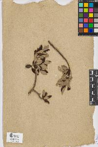 SW_BNB_s3090-07745_IMG-0000000001