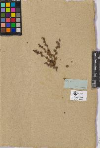 SW_BNB_s3090-07815_IMG-0000000001