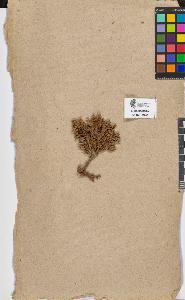 SW_BNB_s3090-07832_IMG-0000000001