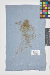 SW_BNB_s3090-07963_IMG-0000000001