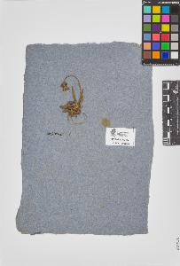 SW_BNB_s3090-08032_IMG-0000000001