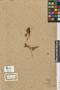 SW_BNB_s3090-08283_IMG-0000000001