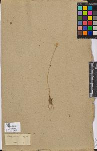 SW_BNB_s3090-08316_IMG-0000000001