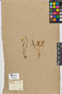 SW_BNB_s3090-08329_IMG-0000000001