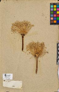 SW_BNB_s3090-08371_IMG-0000000001