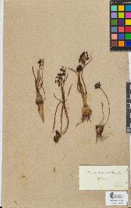 SW_BNB_s3090-08425_IMG-0000000001