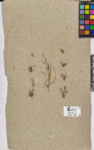 SW_BNB_s3090-08451_IMG-0000000001