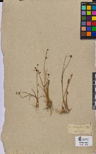 SW_BNB_s3090-08463_IMG-0000000001
