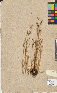 SW_BNB_s3090-08488_IMG-0000000001