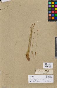 SW_BNB_s3090-08511_IMG-0000000001