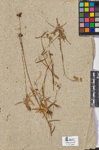 SW_BNB_s3090-08537_IMG-0000000001