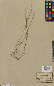 SW_BNB_s3090-08551_IMG-0000000001
