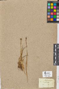 SW_BNB_s3090-08558_IMG-0000000001